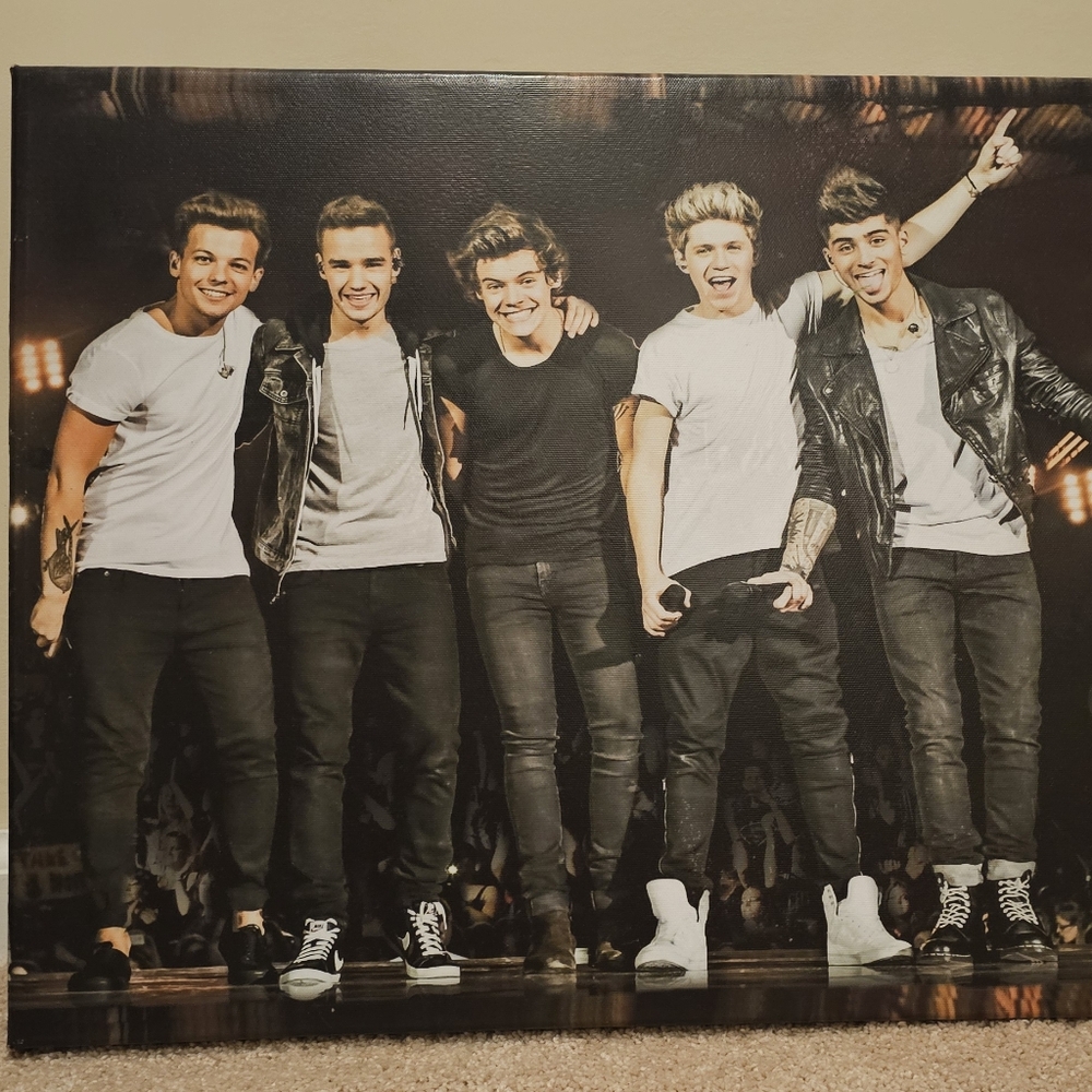 One Direction canvas